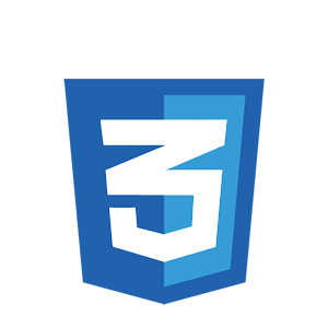 CSS Logo